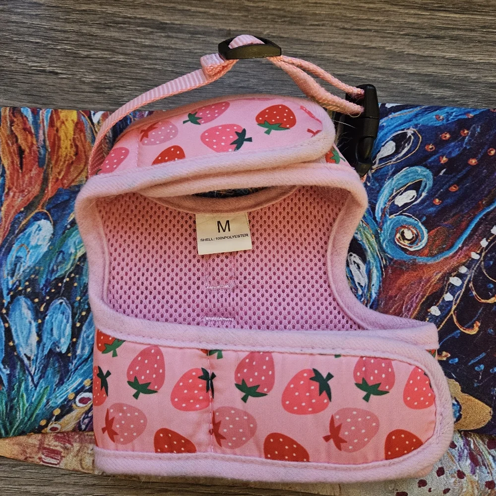 Strawberry Cat vest